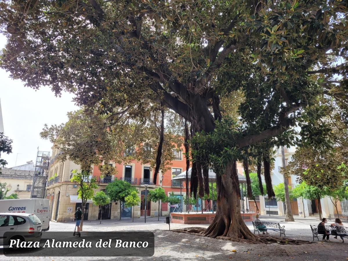 Apartmán Jerez Centro Historico Jerez de la Frontera Exteriér fotografie