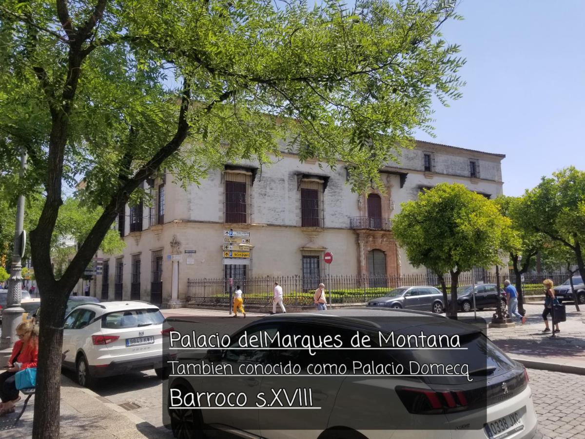Apartmán Jerez Centro Historico Jerez de la Frontera Exteriér fotografie
